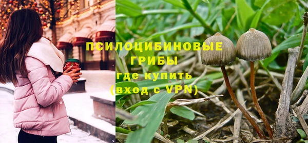 метадон Алексеевка