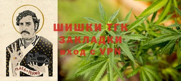 спиды Арсеньев