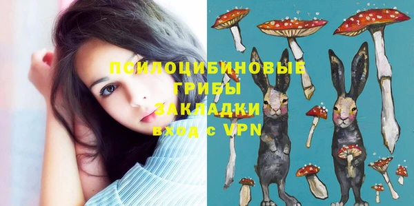 спайс Алзамай