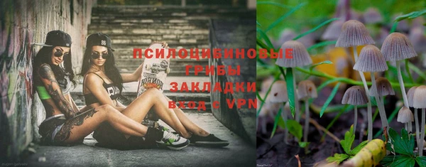 метадон Алексеевка