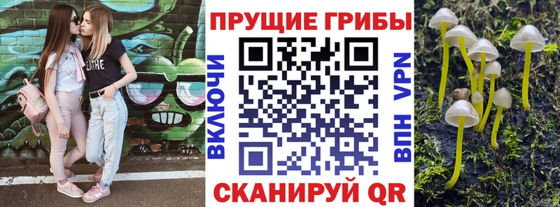 Галлюциногенные грибы GOLDEN TEACHER  Фёдоровский 